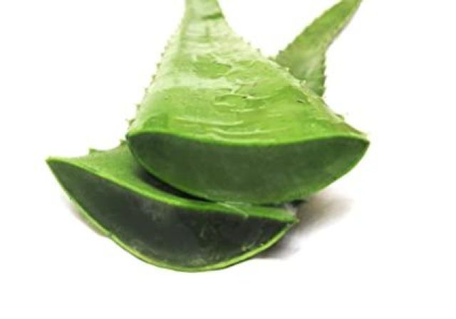 Aloe Vera Organic Leaves (1 KG Approx) 100% organic